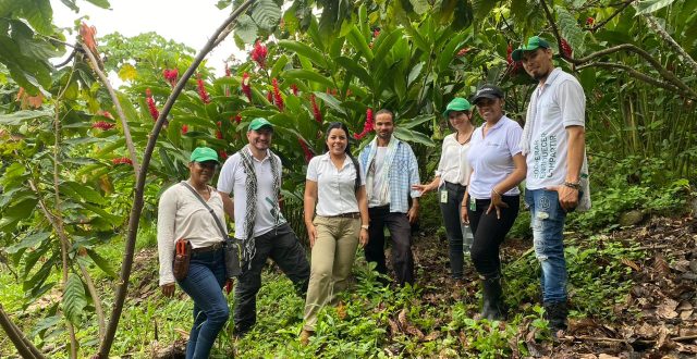 Visita de seguimiento al proyecto Drummond en alianza con Agroemprende Cacao, en el año 2024