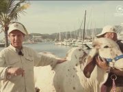 La Gira Técnica de FEDEGAN en Cesar y Magdalena arranca este sábado