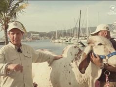 La Gira Técnica de FEDEGAN en Cesar y Magdalena arranca este sábado