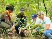 CORPAMAG ha sembrado más de 30 mil árboles para la restauración de ecosistemas