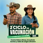 299 PX X 500_page-0001