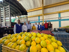 CamComercio impulsa acuerdos comerciales entre asociaciones de Guamal y ALFAIX