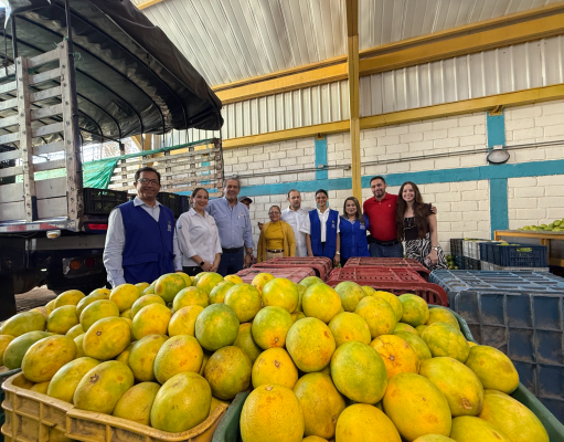 CamComercio impulsa acuerdos comerciales entre asociaciones de Guamal y ALFAIX