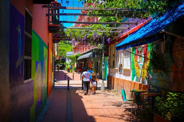 Se viste de gala para la CELAC (5)