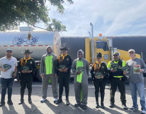 CORPAMAG refuerza operativos contra tráfico ilegal de huevos de iguana