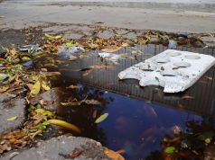 Personería Distrital reclama a MinSalud vacunación urgente contra el dengue