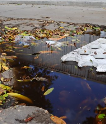 Personería Distrital reclama a MinSalud vacunación urgente contra el dengue