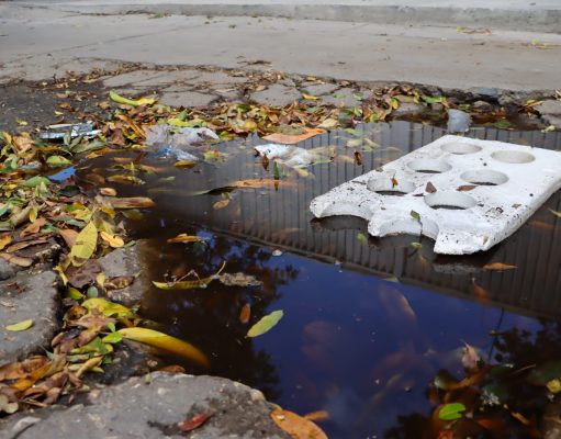Personería Distrital reclama a MinSalud vacunación urgente contra el dengue