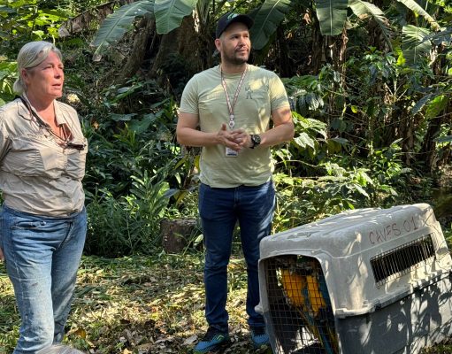 CORPAMAG realizó liberación de aves víctimas de tráfico y tenencia ilegal