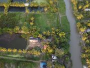 CORPAMAG impulsa proyecto productivo y de restauración en Caño Clarín Nuevo