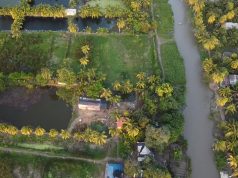 CORPAMAG impulsa proyecto productivo y de restauración en Caño Clarín Nuevo