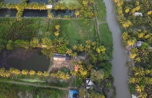 CORPAMAG impulsa proyecto productivo y de restauración en Caño Clarín Nuevo