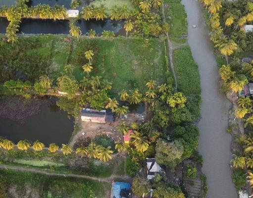 CORPAMAG impulsa proyecto productivo y de restauración en Caño Clarín Nuevo