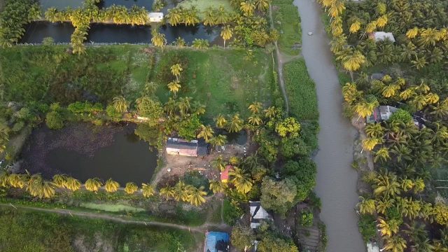 Proyecto Productivo Clarin 1