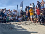 Tasajera /CORPAMAG y Fundación CIM Caribe realizaron liberación de 41 tortugas marinas y jornada de sensibilización