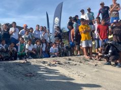 Tasajera /CORPAMAG y Fundación CIM Caribe realizaron liberación de 41 tortugas marinas y jornada de sensibilización