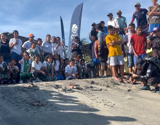 Tasajera /CORPAMAG y Fundación CIM Caribe realizaron liberación de 41 tortugas marinas y jornada de sensibilización