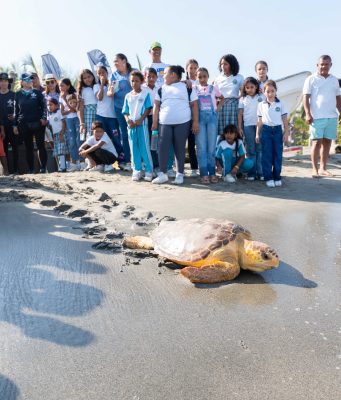 CORPAMAG y Fundación CIM Caribe liberan 41 tortugas caguamas
