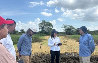 CORPAMAG lideró recorrido técnico en los caños Renegado y Condazo