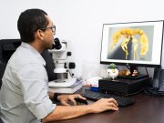 UNIMAGDALENA, primera institución colombiana en integrar la red digital mundial – AntWeb