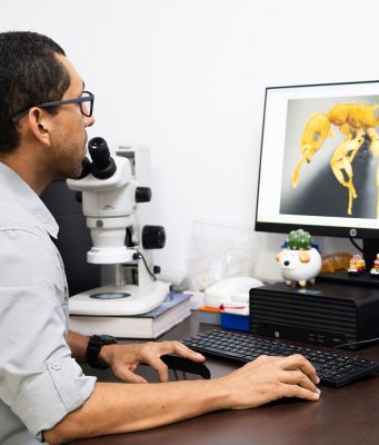 UNIMAGDALENA, primera institución colombiana en integrar la red digital mundial – AntWeb