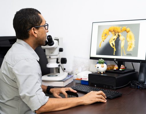 UNIMAGDALENA, primera institución colombiana en integrar la red digital mundial – AntWeb