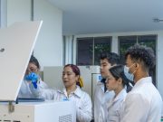 UNIMAGDALENA celebra obtención del registro calificado del nuevo Programa de Química