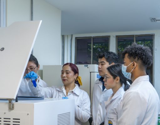 UNIMAGDALENA celebra obtención del registro calificado del nuevo Programa de Química
