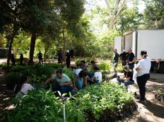 CORPAMAG y Diócesis de Santa Marta se unen para proteger la palma de cera en Semana Santa