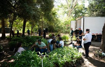 CORPAMAG y Diócesis de Santa Marta se unen para proteger la palma de cera en Semana Santa