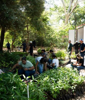 CORPAMAG y Diócesis de Santa Marta se unen para proteger la palma de cera en Semana Santa