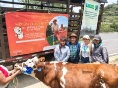 FEDEGÁN, FUNDAGÁN y PazdelRío entregan novillas a familias vulnerables