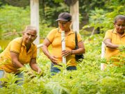 La ANT entregó 15.000 hectáreas formalizadas a mujeres del Caribe para su liderazgo y autonomía