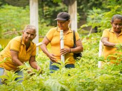 La ANT entregó 15.000 hectáreas formalizadas a mujeres del Caribe para su liderazgo y autonomía