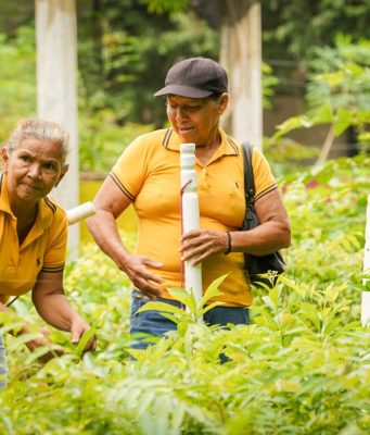 La ANT entregó 15.000 hectáreas formalizadas a mujeres del Caribe para su liderazgo y autonomía