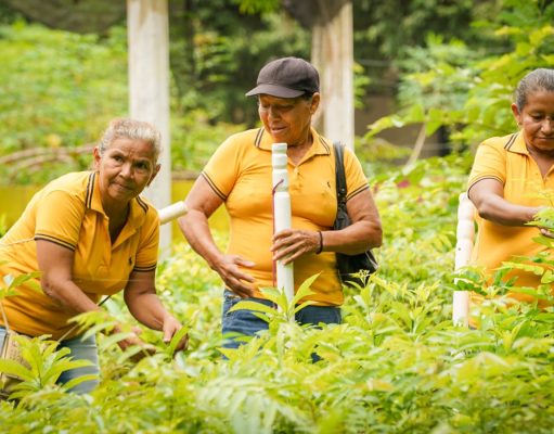 La ANT entregó 15.000 hectáreas formalizadas a mujeres del Caribe para su liderazgo y autonomía