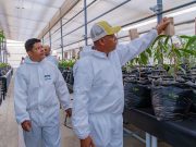 Inauguran en UNIMAGDALENA primer Invernadero de Bioseguridad Tipo II en el Caribe colombiano