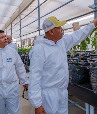 Inauguran en UNIMAGDALENA primer Invernadero de Bioseguridad Tipo II en el Caribe colombiano