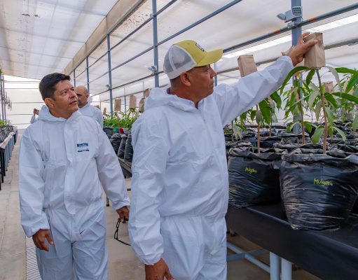 Inauguran en UNIMAGDALENA primer Invernadero de Bioseguridad Tipo II en el Caribe colombiano