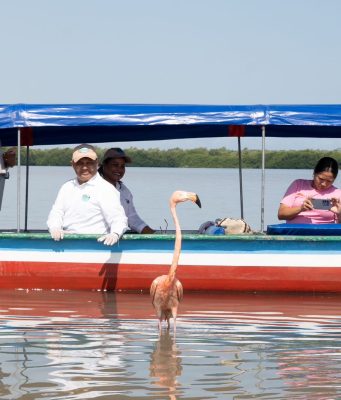 CORPAMAG conmemoró Día de la Tierra liberando 8 flamencos rosados en la Ciénaga Grande