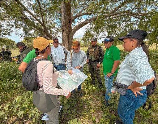 ANT recupera 506 hectáreas que estuvieron en manos de ‘Jorge 40’ y ‘Chepe Barrera’