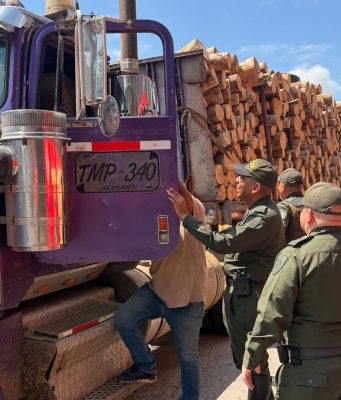 CORPAMAG realizó operativo de control al tráfico de especies forestales.