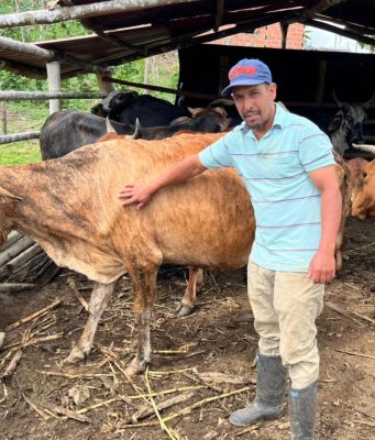 Del 4 de mayo al 23 de junio, se realizará 1er ciclo de vacunación contra la aftosa