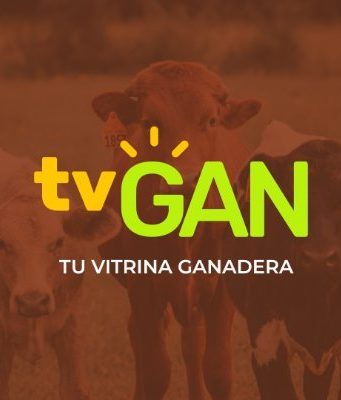 TVGÁN relanza plataforma web y fortalece su apuesta por la digitalización del sector ganadero
