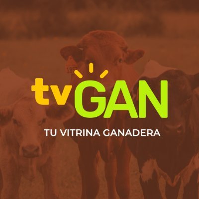 TVGÁN relanza plataforma web y fortalece su apuesta por la digitalización del sector ganadero