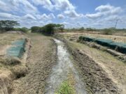 Remolino / Fenómeno de El Niño disminuye caudal del río Magdalena y afecta ingreso de agua a los caños de la Ciénaga Grande