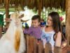 PANACA Viajero aterriza en Santa Marta con apoyo de Cajamag