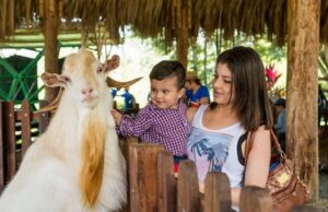 PANACA Viajero aterriza en Santa Marta con apoyo de Cajamag
