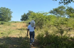Algarrobo /Después de 50 años Amir Torres logró recuperar su tierra a través de la ANT
