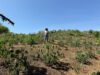 La segunda oportunidad de una mujer en el campo magdalenense